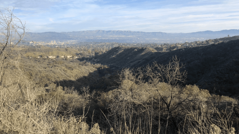 Natoma Loop – Extended Version