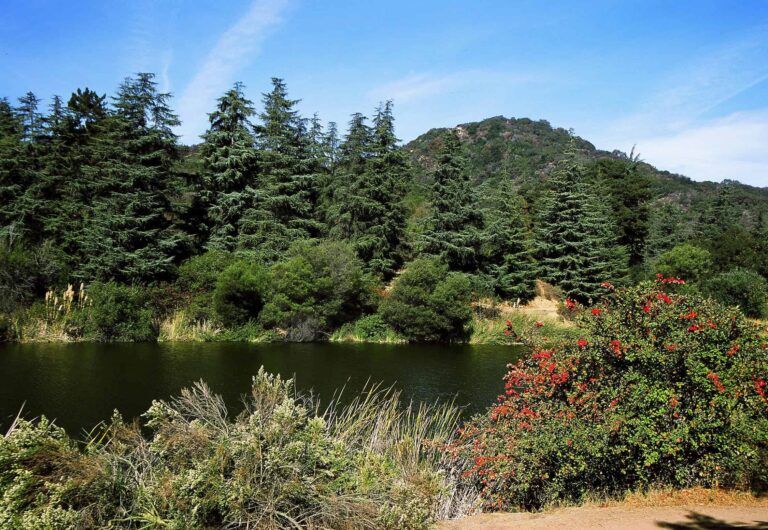 Journey to the Center of the City – Franklin Canyon