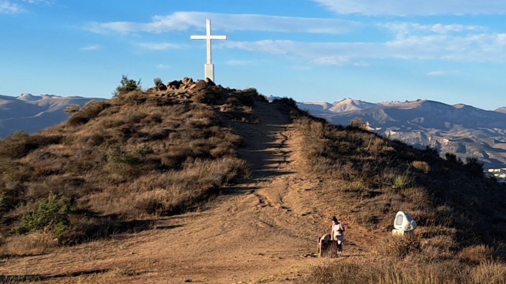 Mt. McCoy