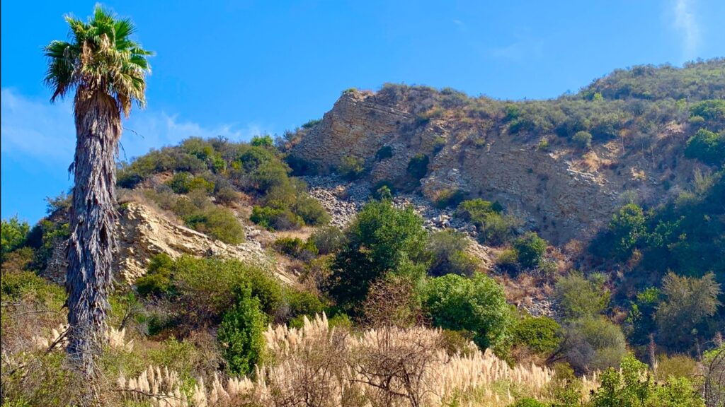 Trailer Canyon to Temescal Lookout