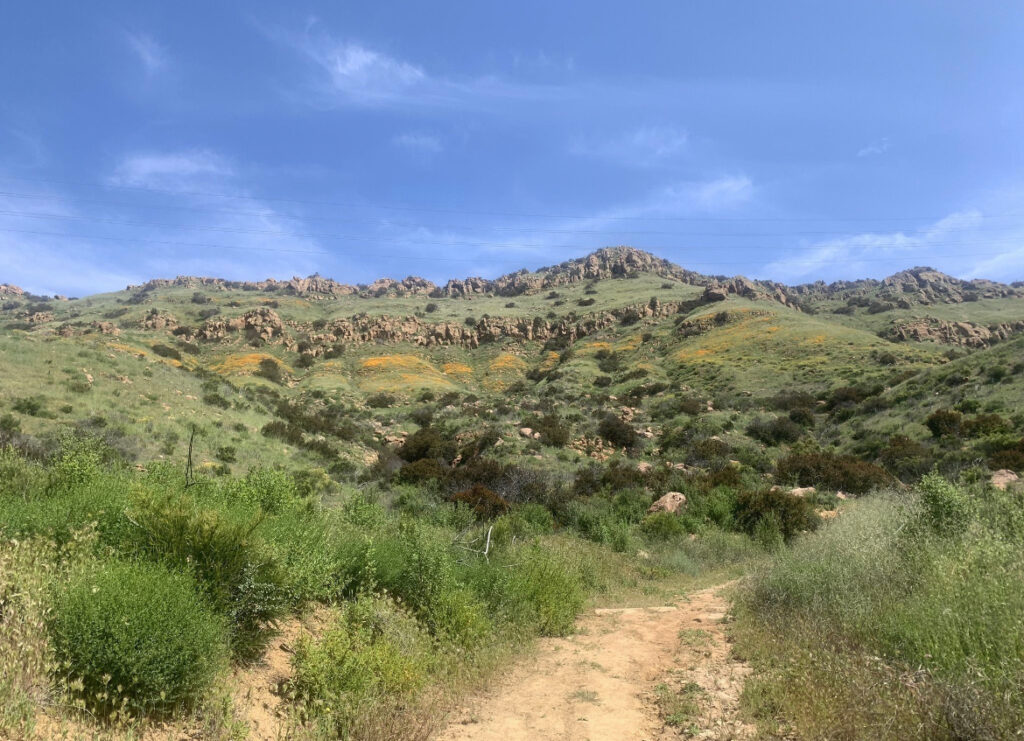 El Encanto Trail | Dos Vientos (2.5mi Easy/Mod)