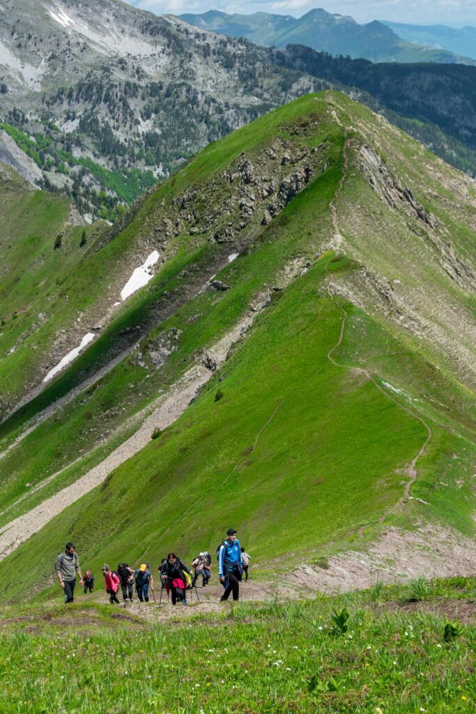 A group of hikers ascending a lush green mountain trail in Montenegro under a clear summer sky.