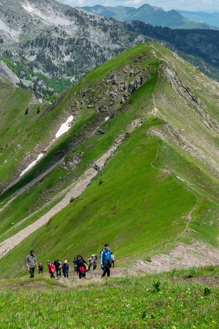 A group of hikers ascending a lush green mountain trail in Montenegro under a clear summer sky.