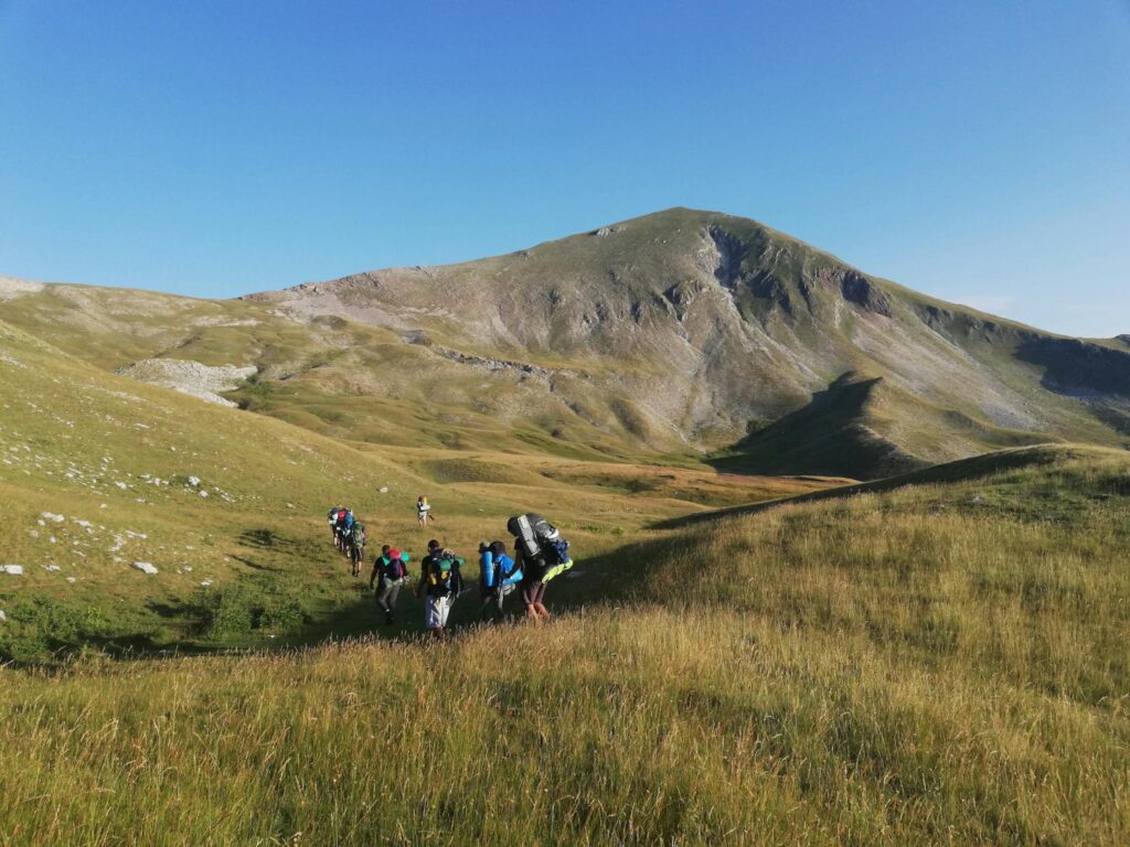 Group of hikers trekking through a picturesque mountain meadow under a clear sky.