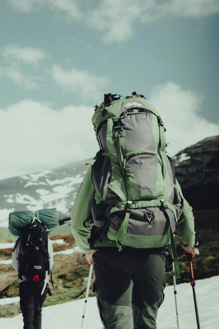 Two backpackers hiking through snowy Swedish mountains in Norrbottens län.