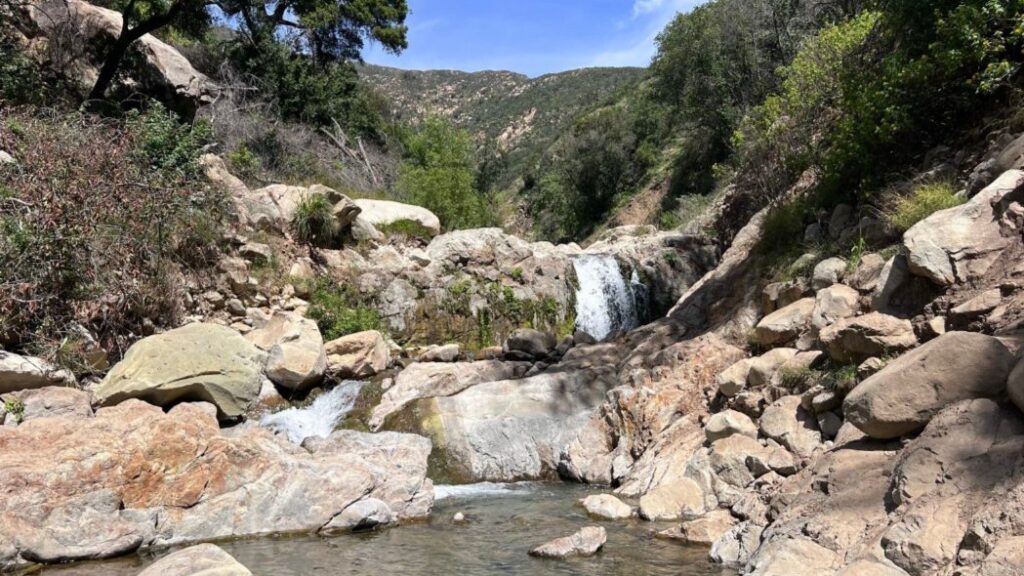 Wednesday Evening Hike: Cold Springs