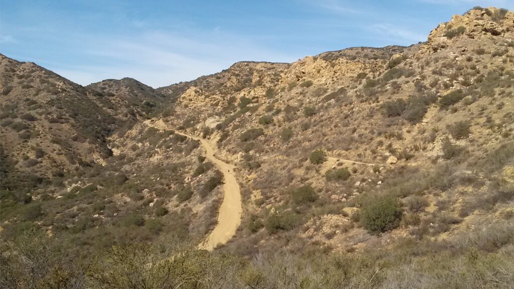 Palo Comado Lollipop – Easy Intermediate