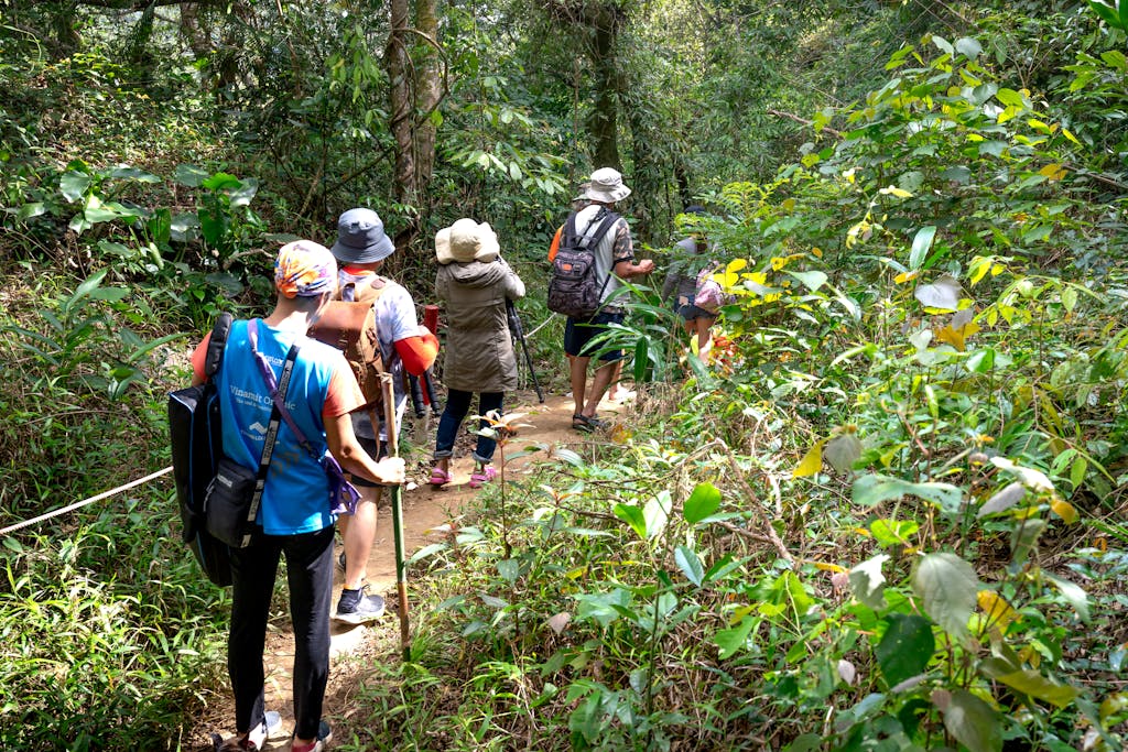 A group of adults hiking through a lush forest trail on a sunny day, embracing outdoor adventure.